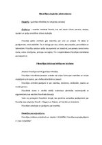 Konspekts 'Filosofijas raksturojums un metodes', 1.