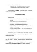 Konspekts 'Filosofijas raksturojums un metodes', 2.