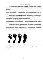 Referāts 'Plakanā pēda', 6.