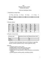 Referāts 'Pasažieru pārvadājumi', 2.