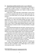 Referāts 'Politisko vēlēšanu, to kampaņu aspekti Latvijā', 11.