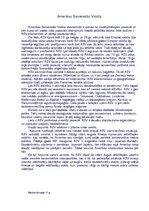 Eseja 'Amerikas Savienotās Valstis', 1.