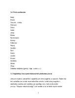 Biznesa plāns 'Biznesa plāns bērnu preču veikalam', 5.