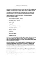 Eseja 'Apdzīvotu vietu tipi Dienvidamerikā', 1.