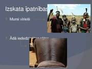 Referāts 'Mursi cilts', 8.