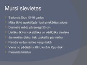 Referāts 'Mursi cilts', 9.
