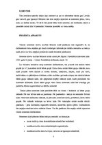 Konspekts 'Vasaras nometne krievu tautības bērniem "Nacionālās identitātes saglabāšana“', 3.