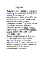 Prezentācija 'Melnie metāli', 3.