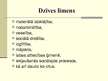 Prezentācija 'Inflācijas ietekme uz dzīves līmeni Latvijā', 3.
