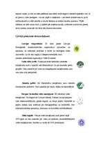 Referāts 'Ekomarķējums', 3.