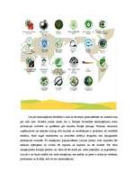 Referāts 'Ekomarķējums', 8.