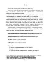 Referāts 'Tūrisma attīstība Latvijā', 3.