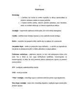 Referāts 'Firmas organizācijas mārketinga stratēģijas raksturojums', 3.