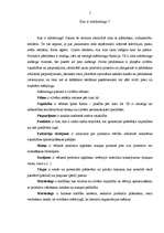 Referāts 'Firmas organizācijas mārketinga stratēģijas raksturojums', 5.