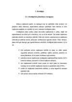 Referāts 'Firmas organizācijas mārketinga stratēģijas raksturojums', 6.