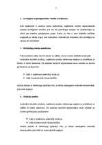 Referāts 'Firmas organizācijas mārketinga stratēģijas raksturojums', 8.