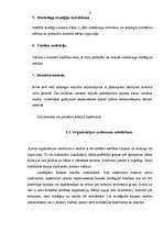 Referāts 'Firmas organizācijas mārketinga stratēģijas raksturojums', 9.