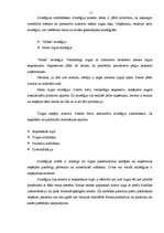 Referāts 'Firmas organizācijas mārketinga stratēģijas raksturojums', 11.