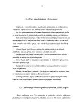 Referāts 'Firmas organizācijas mārketinga stratēģijas raksturojums', 15.