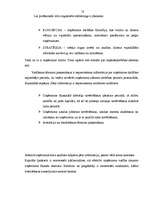 Referāts 'Firmas organizācijas mārketinga stratēģijas raksturojums', 18.