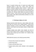 Referāts 'Firmas organizācijas mārketinga stratēģijas raksturojums', 20.