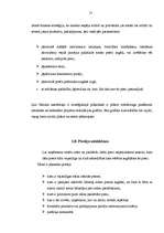 Referāts 'Firmas organizācijas mārketinga stratēģijas raksturojums', 21.