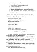 Referāts 'Firmas organizācijas mārketinga stratēģijas raksturojums', 22.
