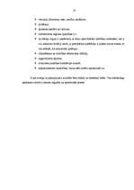 Referāts 'Firmas organizācijas mārketinga stratēģijas raksturojums', 23.