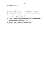 Referāts 'Firmas organizācijas mārketinga stratēģijas raksturojums', 25.