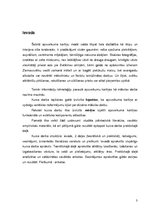 Referāts 'Apsveikuma kartiņas funkcionālo un estētisko komponentu attiecības', 3.