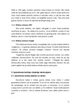 Referāts 'Apsveikuma kartiņas funkcionālo un estētisko komponentu attiecības', 12.