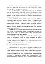 Referāts 'Apsveikuma kartiņas funkcionālo un estētisko komponentu attiecības', 13.