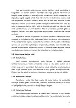 Referāts 'Apsveikuma kartiņas funkcionālo un estētisko komponentu attiecības', 17.