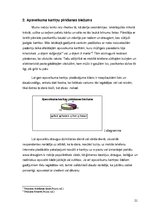 Referāts 'Apsveikuma kartiņas funkcionālo un estētisko komponentu attiecības', 21.