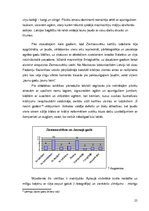 Referāts 'Apsveikuma kartiņas funkcionālo un estētisko komponentu attiecības', 25.