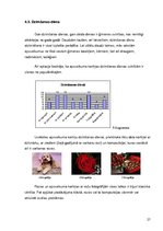 Referāts 'Apsveikuma kartiņas funkcionālo un estētisko komponentu attiecības', 27.