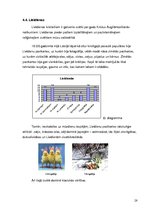 Referāts 'Apsveikuma kartiņas funkcionālo un estētisko komponentu attiecības', 28.