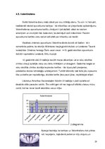 Referāts 'Apsveikuma kartiņas funkcionālo un estētisko komponentu attiecības', 29.