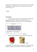 Referāts 'Apsveikuma kartiņas funkcionālo un estētisko komponentu attiecības', 30.