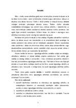 Referāts 'Plānošanas loma ilgtspējīgas attīstības veicināšanā Tukuma pilsētā', 3.