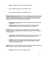 Konspekts 'Profesionāla matu kopšanas kosmētika "Cutrin"', 8.