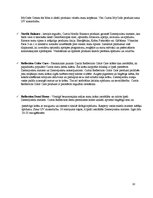 Konspekts 'Profesionāla matu kopšanas kosmētika "Cutrin"', 10.