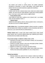 Referāts 'Reklāmas kampaņas efektivitātes novērtēšana', 6.