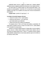 Referāts 'Reklāmas kampaņas efektivitātes novērtēšana', 12.