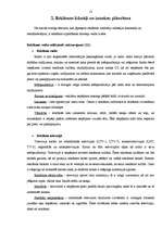 Referāts 'Reklāmas kampaņas efektivitātes novērtēšana', 13.