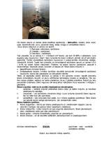 Konspekts 'Ūdens', 1.