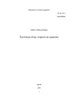 Konspekts 'Šizofrēnijas cēloņi, simptomi un izpausmes', 1.