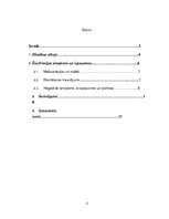 Konspekts 'Šizofrēnijas cēloņi, simptomi un izpausmes', 2.