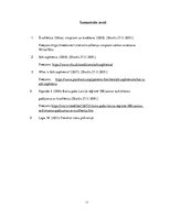 Konspekts 'Šizofrēnijas cēloņi, simptomi un izpausmes', 11.