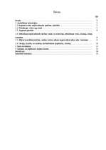 Referāts 'Rapsis', 1.